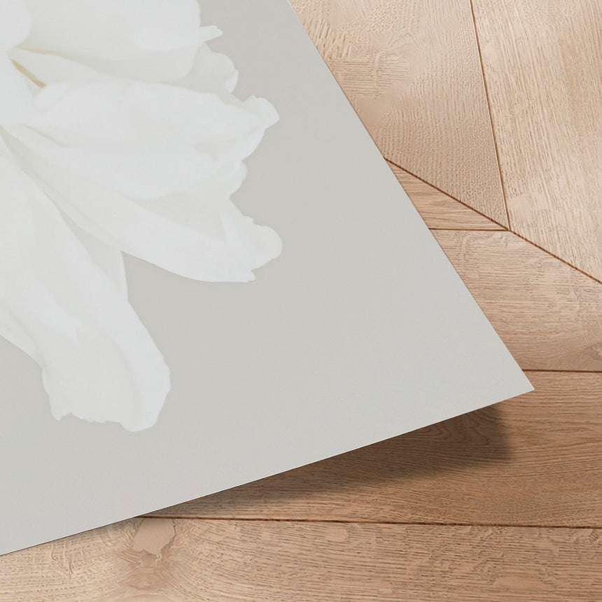 Plakat - White Bloom Serenity - 1x Studio II