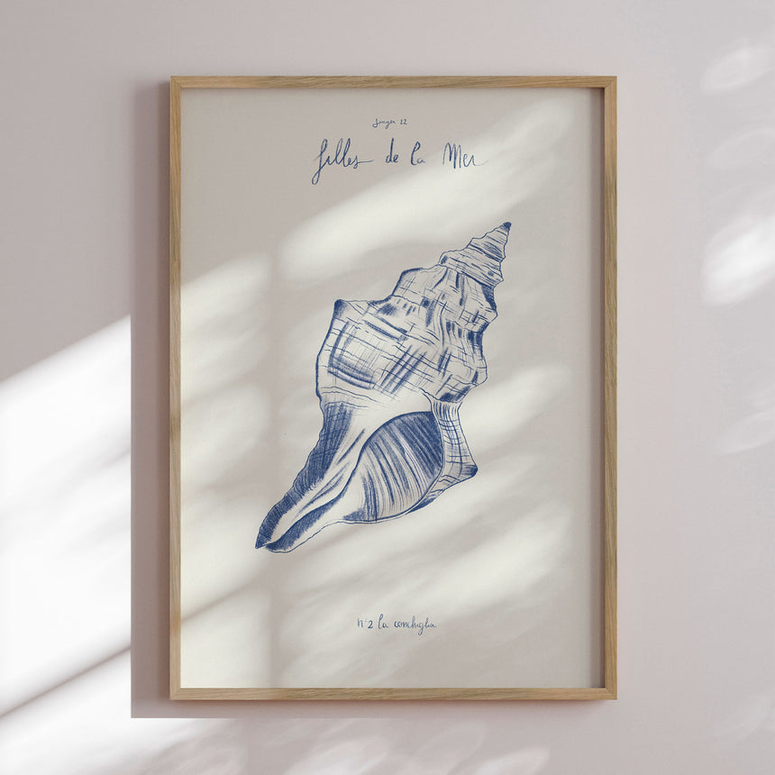 Plakat - Coastal Seashell Study - Giulia Mora