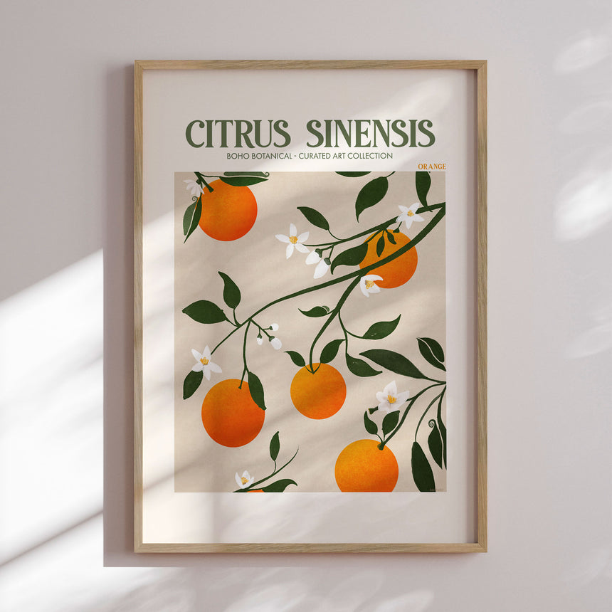 Plakat - Orange Elegance - Emel Tunaboylu