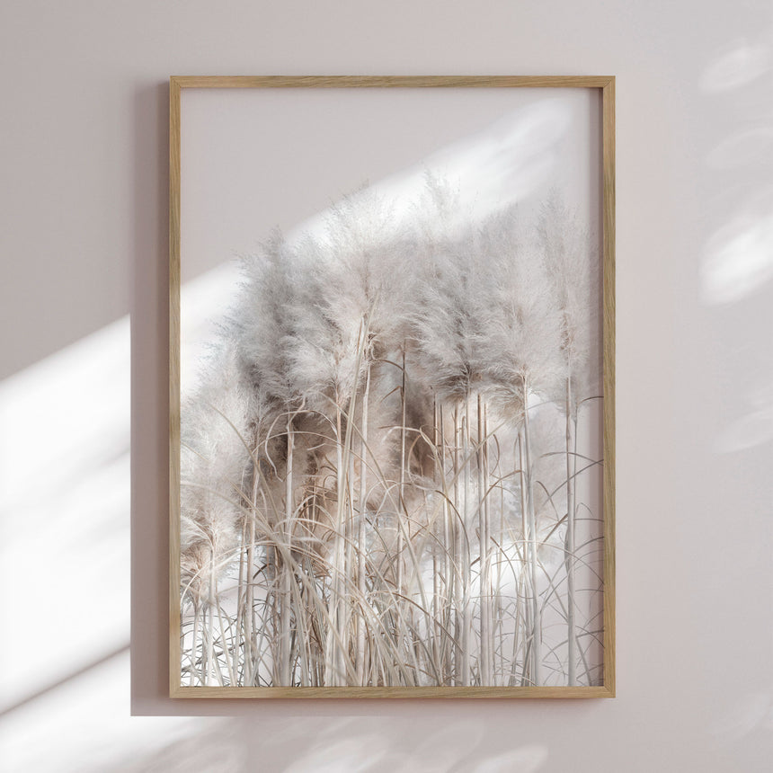 Plakat - Pampas Grass II - Magda Izzard