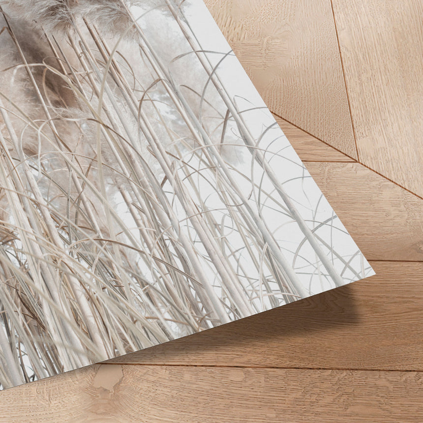 Plakat - Pampas Grass II - Magda Izzard