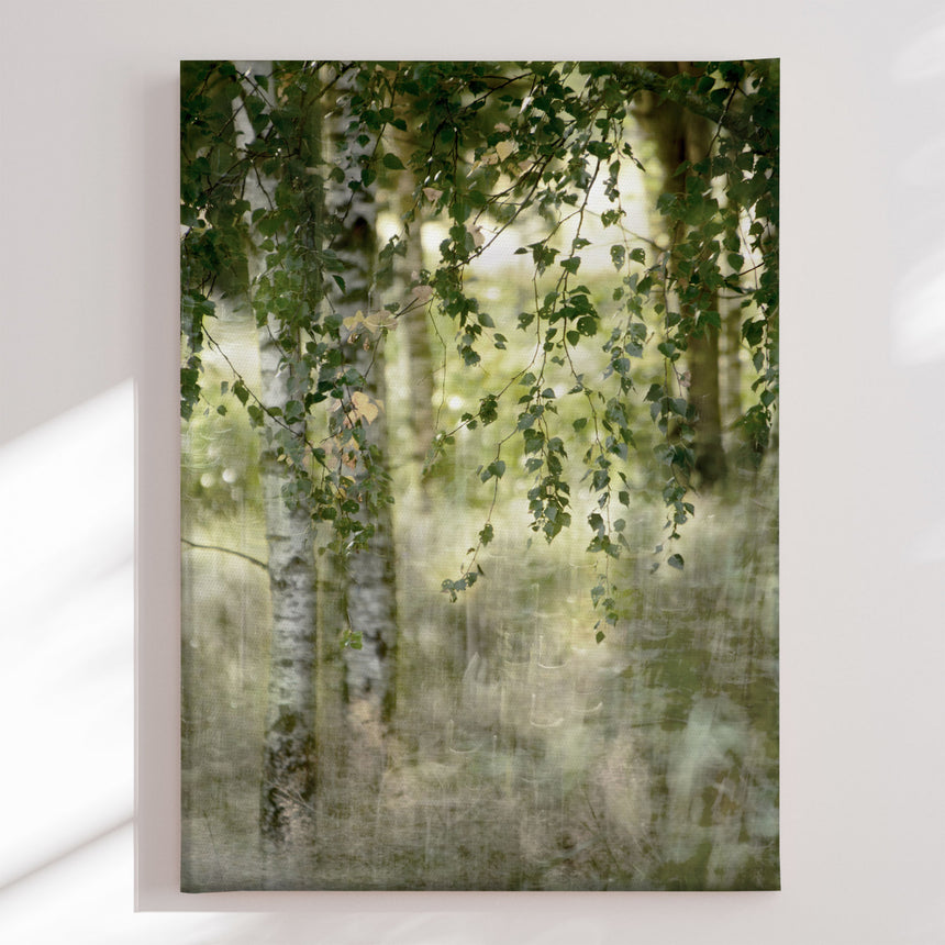 Lærredstryk - Dreamy Birch Forest - Chistina Sillen