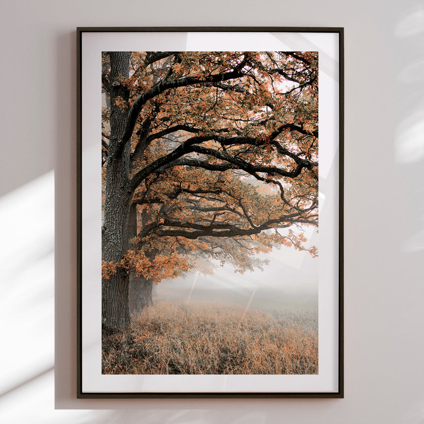 Indramning - Autumn Oaks - Christina Sillen