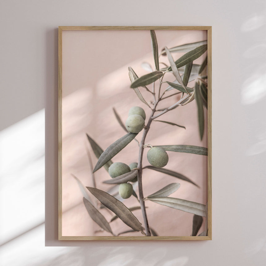 Plakat - Olives - Kathrin Pienaar