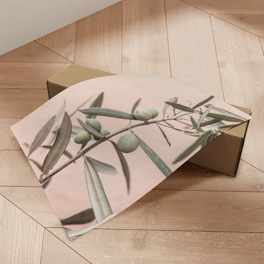 Plakat - Olives - Kathrin Pienaar