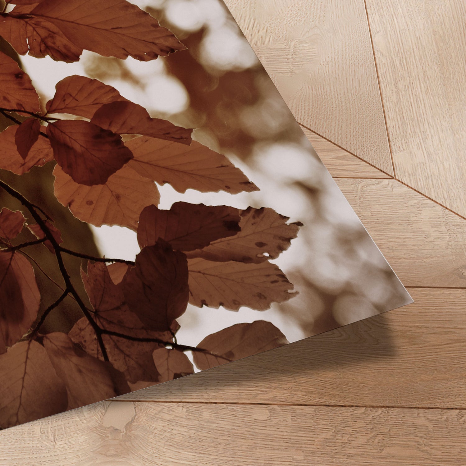 Plakat - Autumn Glow - Christina Sillen