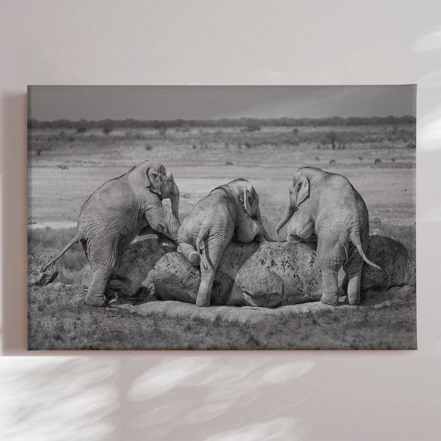 Lærredstryk - Three Guys - Marcel Egger