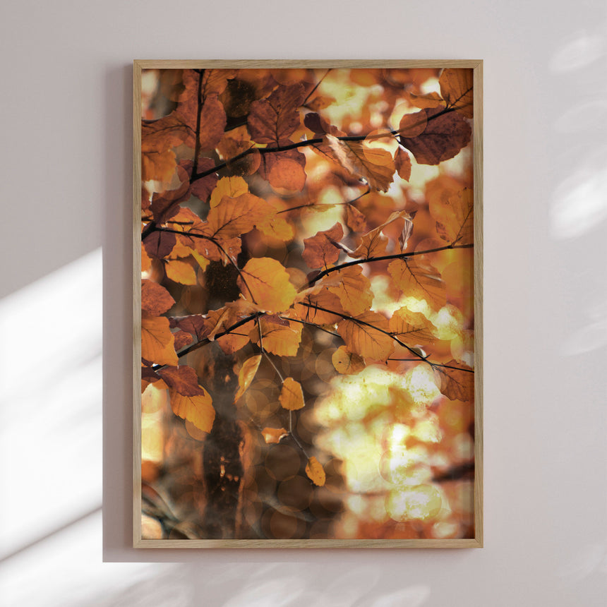Plakat - Golden Leaves - Christina Sillen