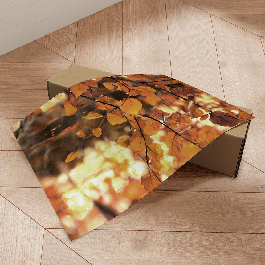 Plakat - Golden Leaves - Christina Sillen