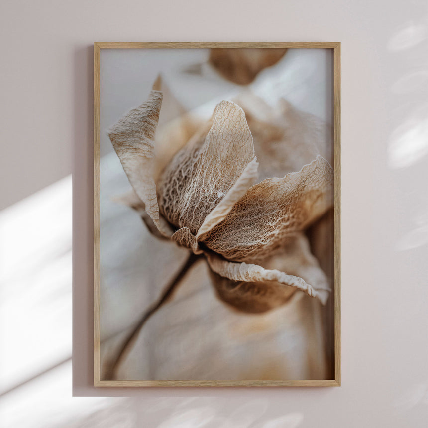 Plakat - Delicate Veins - Treechild