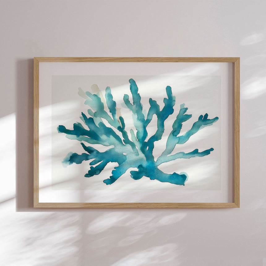 Plakat - Turquoise Coral - Kathrin Pienaar
