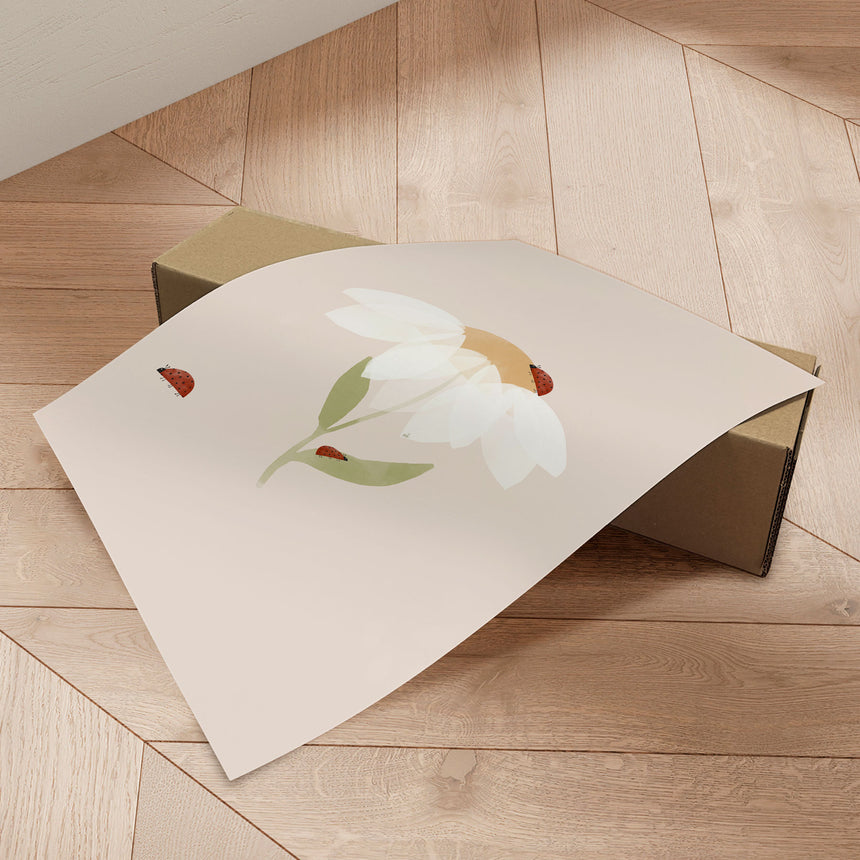 Plakat - Sweet Daisy Ladybugs - Menina Lisboa