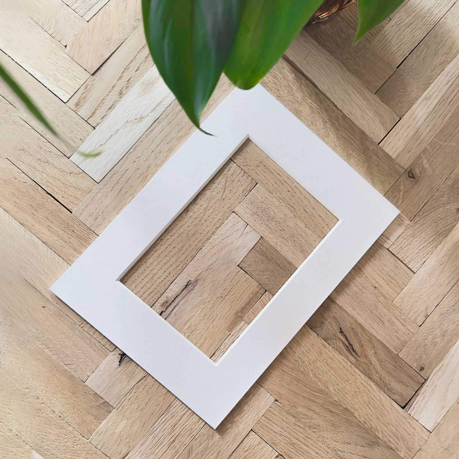 Passepartout - Råhvid - Incado