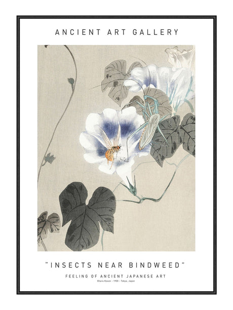 Plakat - Insects Near Bindweed - Ancient Art - Incado