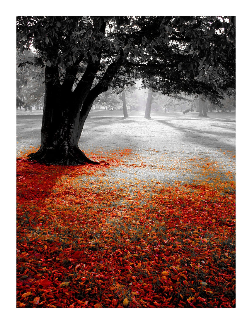 Lærredstryk - Black n' Red - Incado