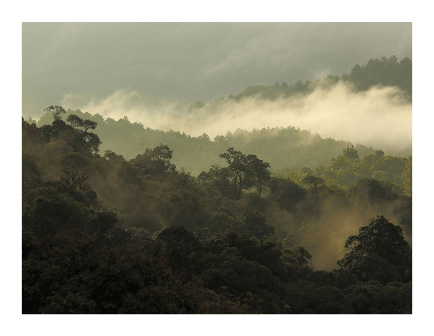 Lærredstryk - Misty Mountain - Incado