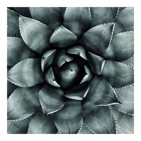 Lærredstryk - Green Star - Incado