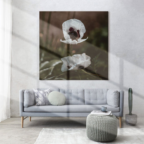 Lærredstryk - White Poppy - Incado
