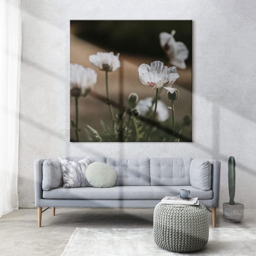 Lærredstryk - White Poppy II - Incado