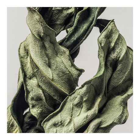 Lærredstryk - Dry Sculpture - Incado