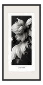 Luksus plakat med sort ramme - Floral Monochrome I - Artist Paper - Incado