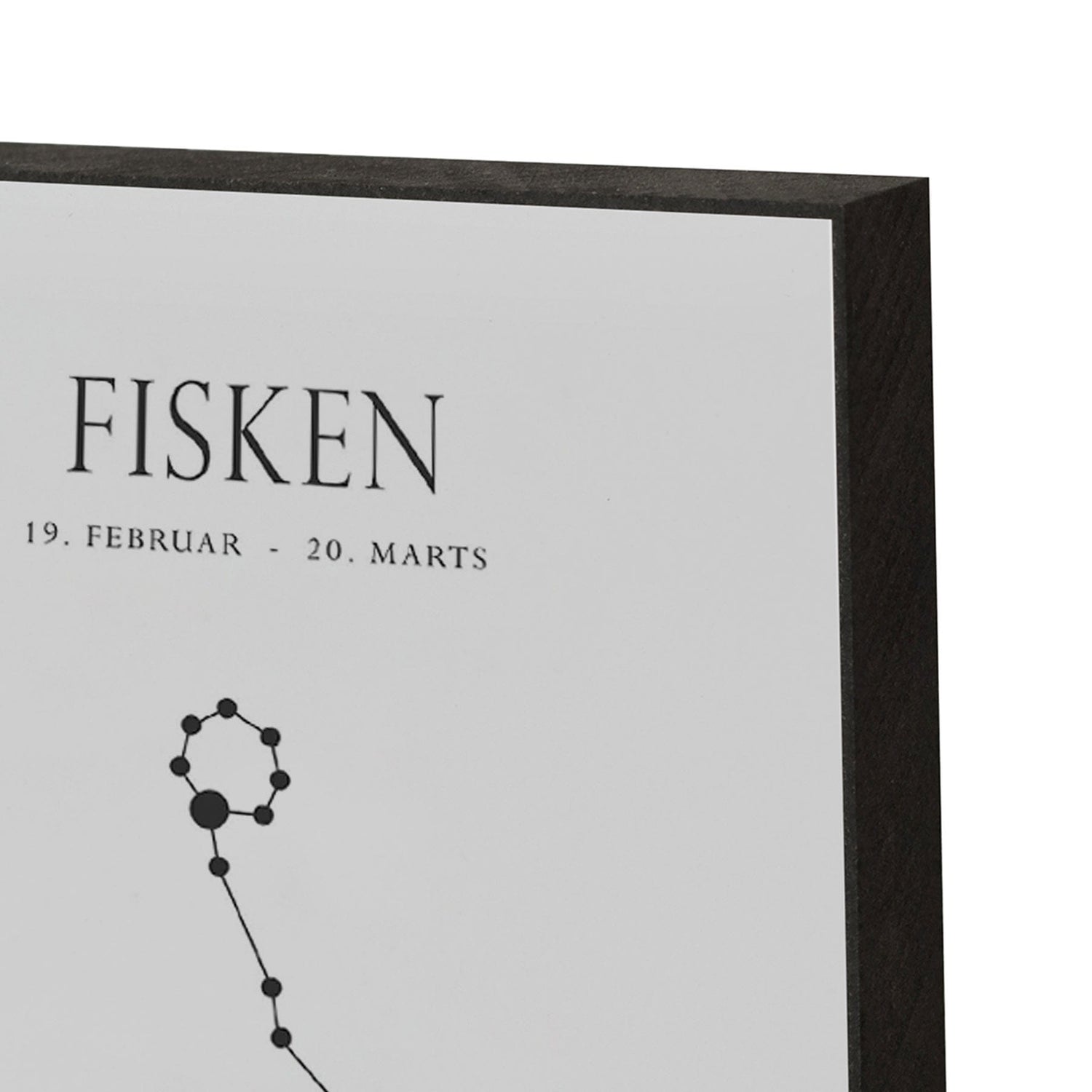 Art Block - Fisken - Incado