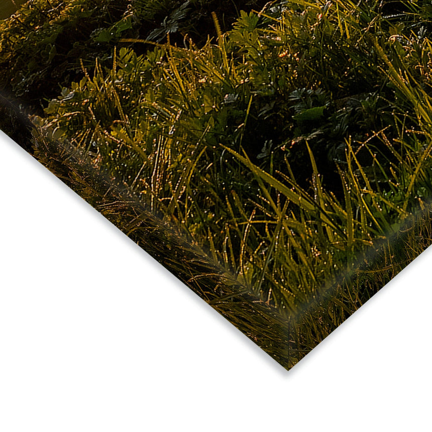 Lærredstryk - Sunset - Mads Iversen - Incado