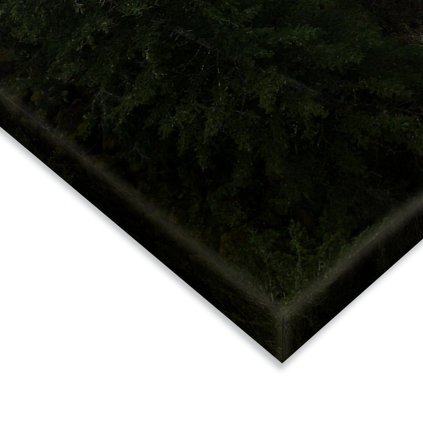 Lærredstryk - Oregon River - Mads Iversen - Incado