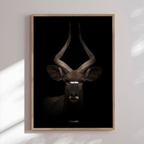 Plakat - Majestic Antelope - Incado