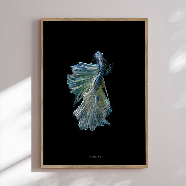 Plakat - Blue King Fish II - Incado