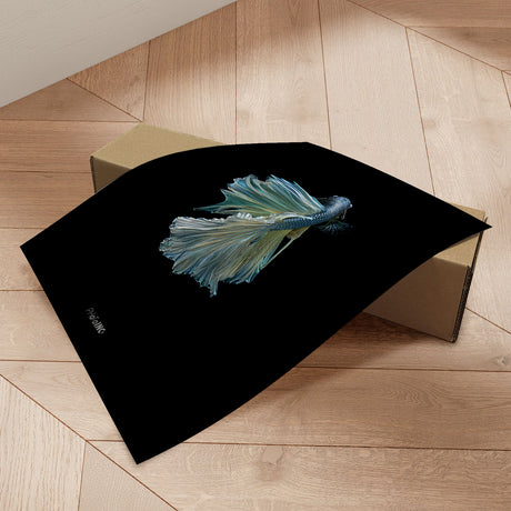 Plakat - Blue King Fish II - Incado