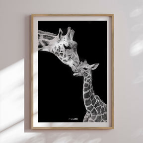 Plakat - Kiss - Incado