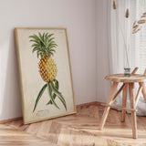 Plakat - Ananas