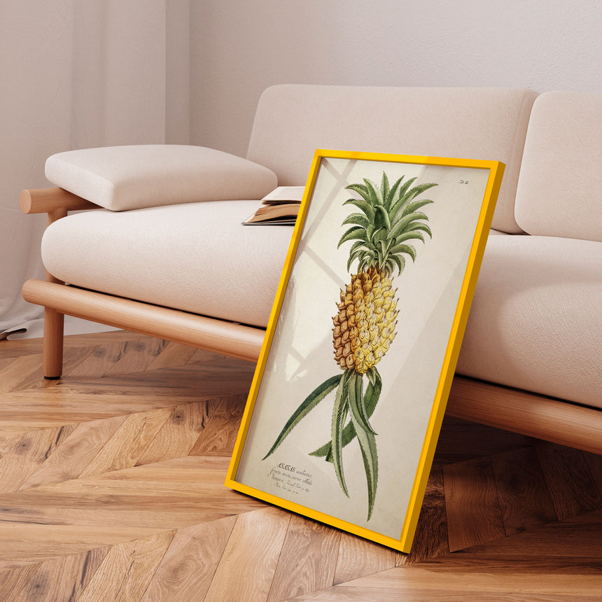 Plakat - Ananas