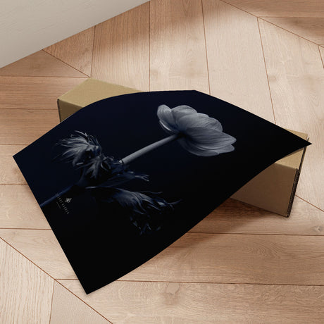 Plakat - Anemone - Incado