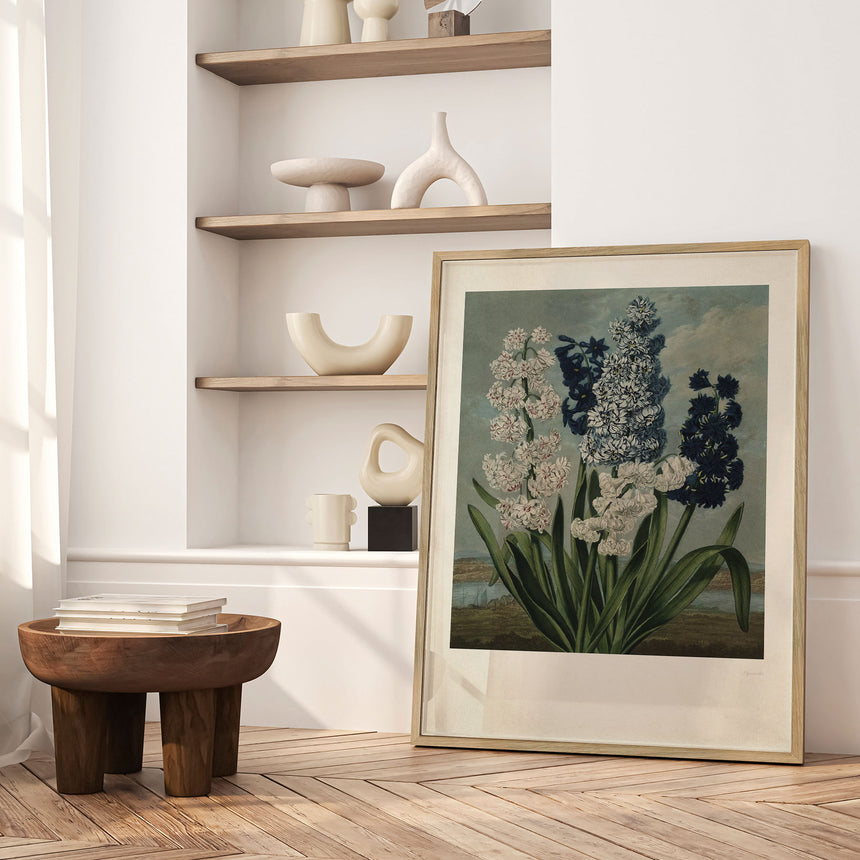 Plakat - Hyacinths - Incado