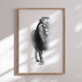 Plakat - Lion - Incado