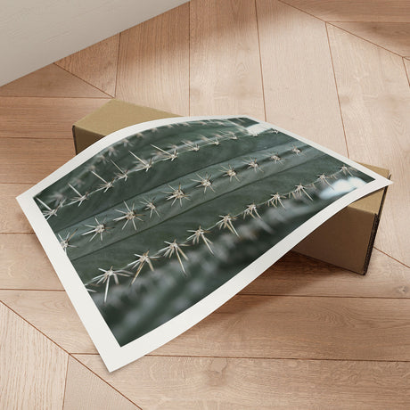 Plakat - Cactus - Incado