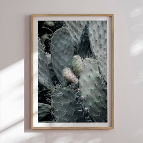 Plakat - Sticky - Incado