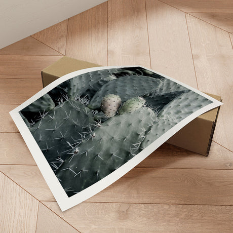 Plakat - Sticky - Incado