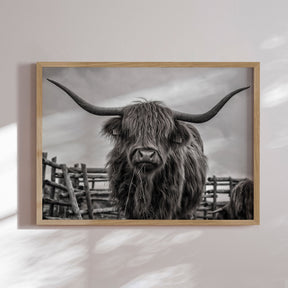 Plakat - Hello - Incado