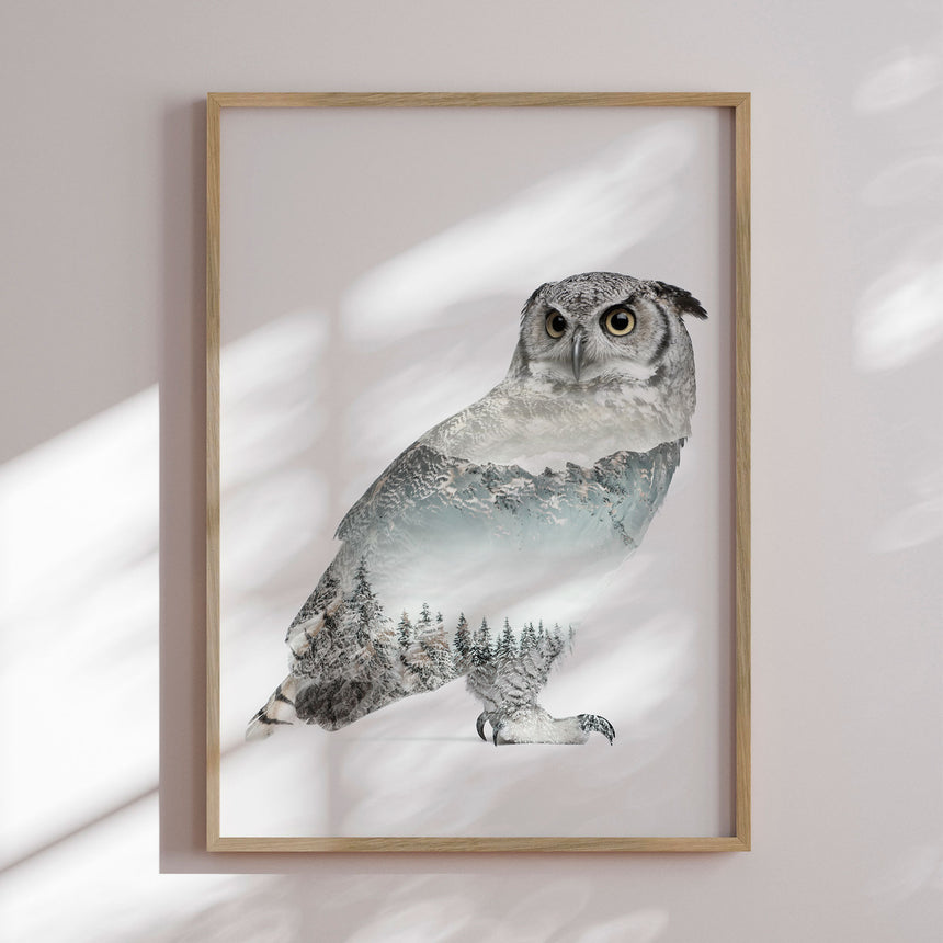 Plakat - White Owl - Incado