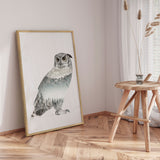 Plakat - White Owl - Incado