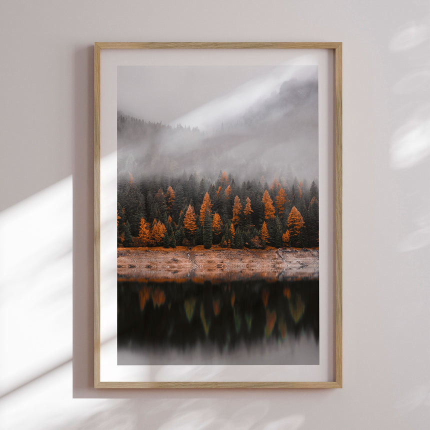 Plakat - Autumn Fog - Incado