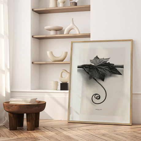 Plakat - Bryonia Alba - Incado