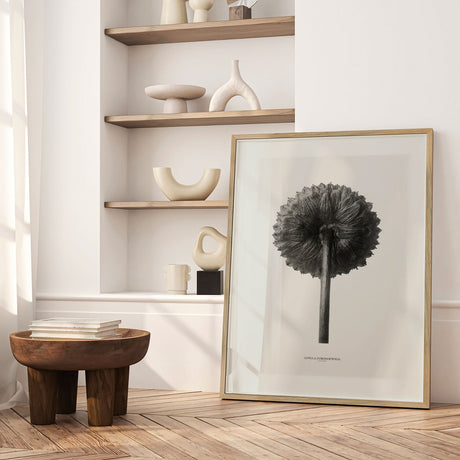 Plakat - Cotula Coronopifolia - Incado