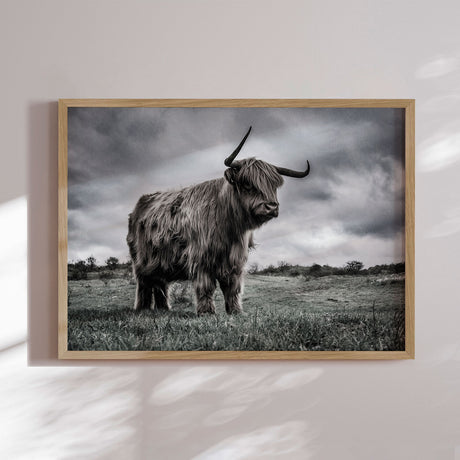 Plakat - Proud Highlander - Incado