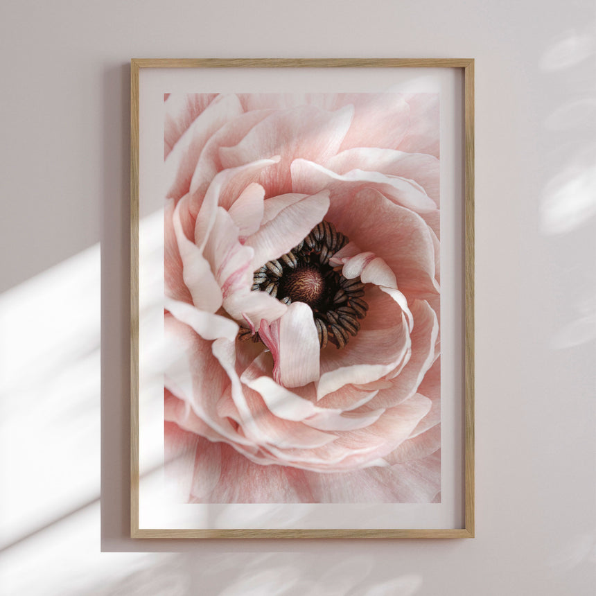 Plakat - Pink Poppy - Incado