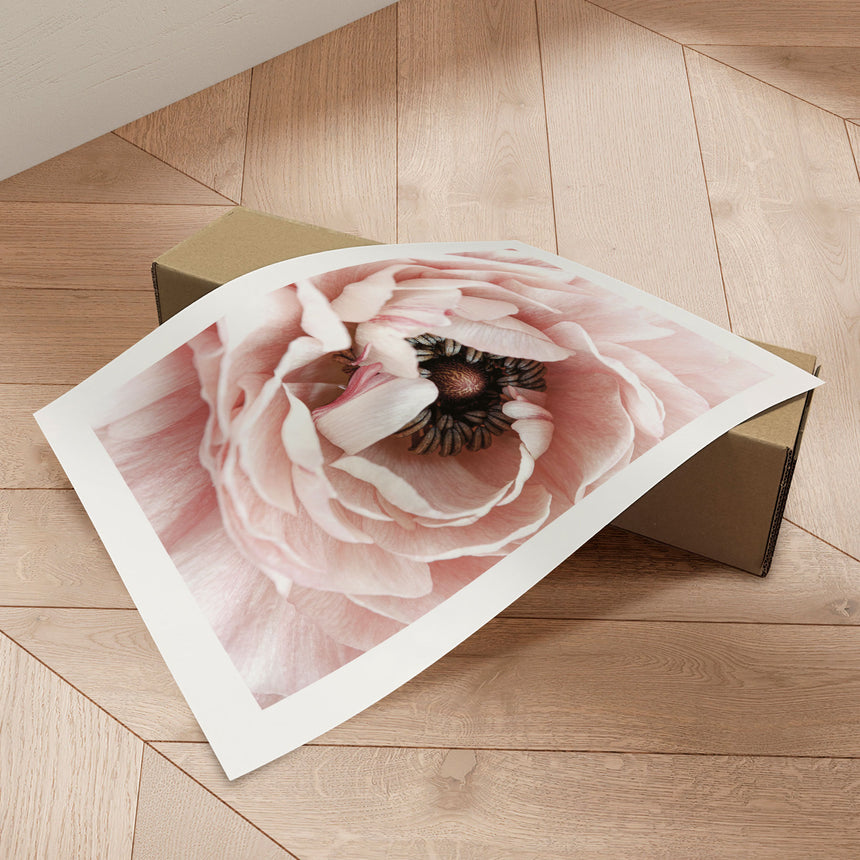 Plakat - Pink Poppy - Incado