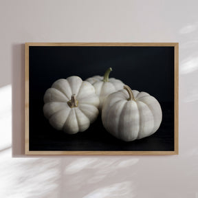 Plakat - White Pumpkins - Bon Appétit - Incado